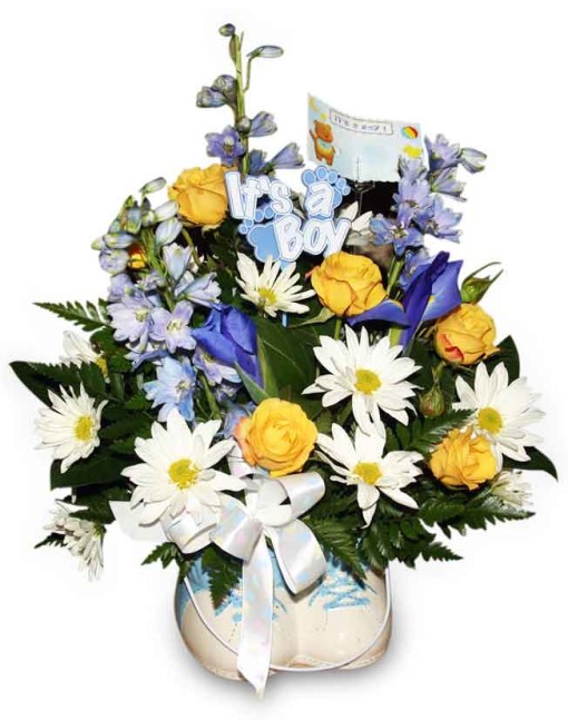 it's-a-Boy-seasonal_15239