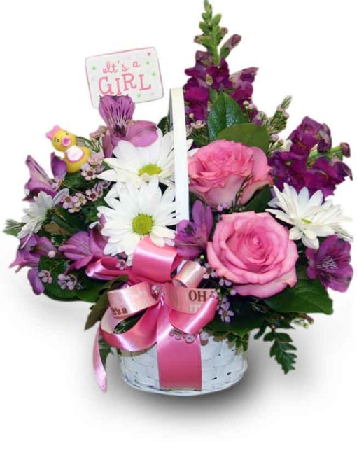 it's-a-Girl-seasonal_15239