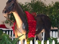 2010 Recognition Dinner